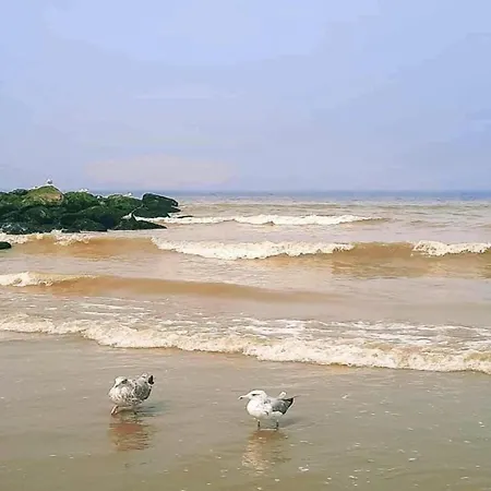 With Frontal Sea View