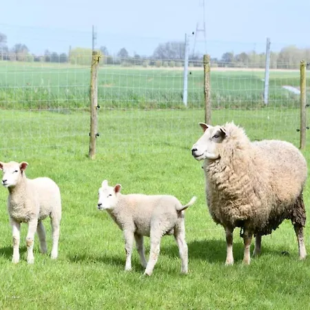 In With Sea Views Апартаменты