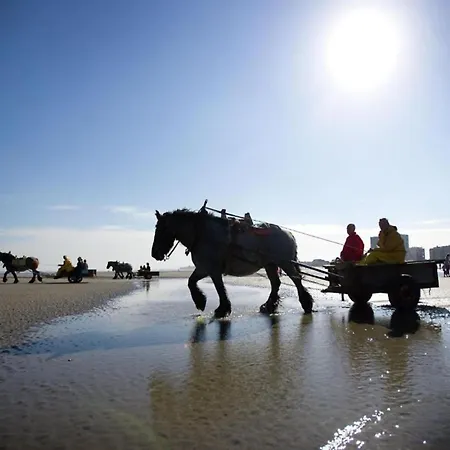 Апартаменты In With Sea Views *