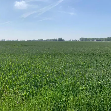 In With Sea Views Apartmán *