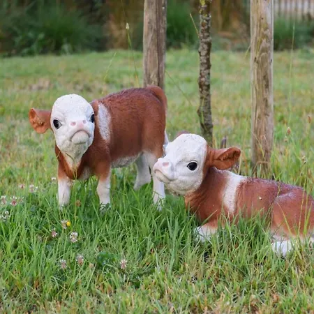 In With Sea Views * Nieuwpoort