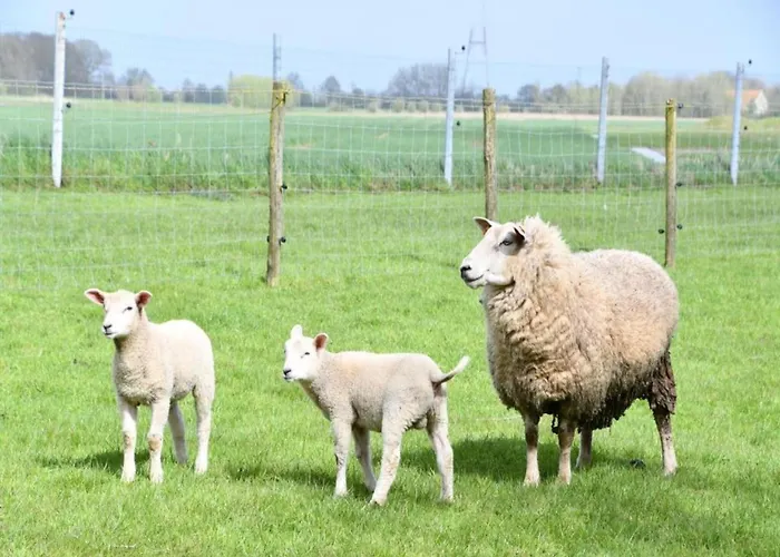 In With Sea Views Apartment