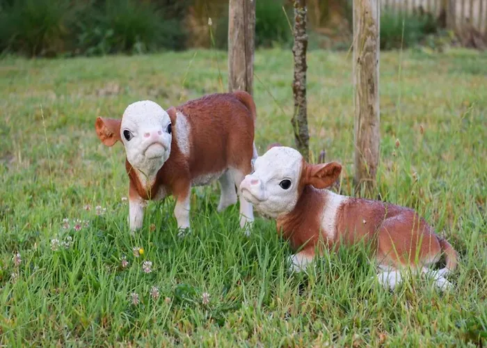 In With Sea Views * Nieuwpoort